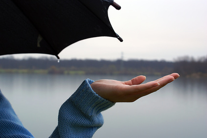 Standpunkt Wofür wir stehen